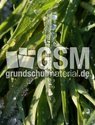 Winterimpressionen 054.jpg